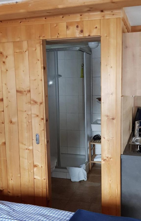Fasserhof Bramberg am Wildkogel Dış mekan fotoğraf