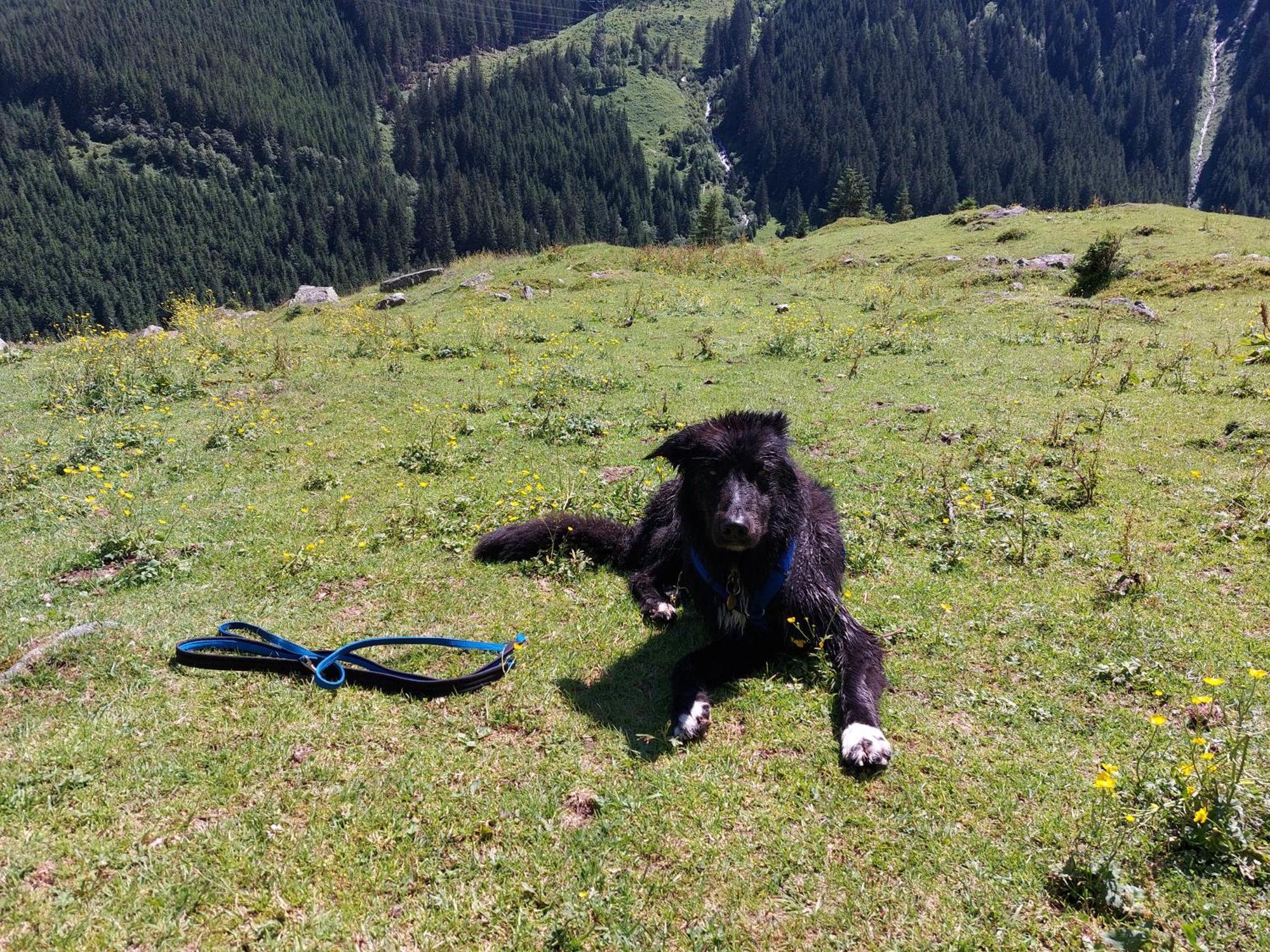 Fasserhof Bramberg am Wildkogel Dış mekan fotoğraf