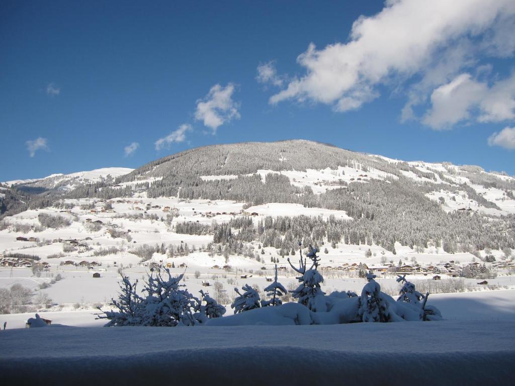 Fasserhof Bramberg am Wildkogel Oda fotoğraf