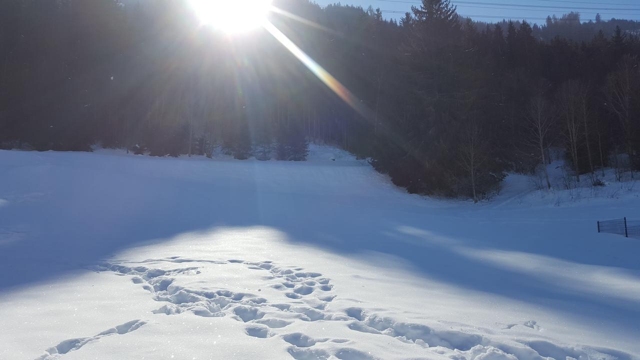 Fasserhof Bramberg am Wildkogel Dış mekan fotoğraf